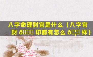 八字命理财官是什么（八字官财 🐈 印都有怎么 🦉 样）